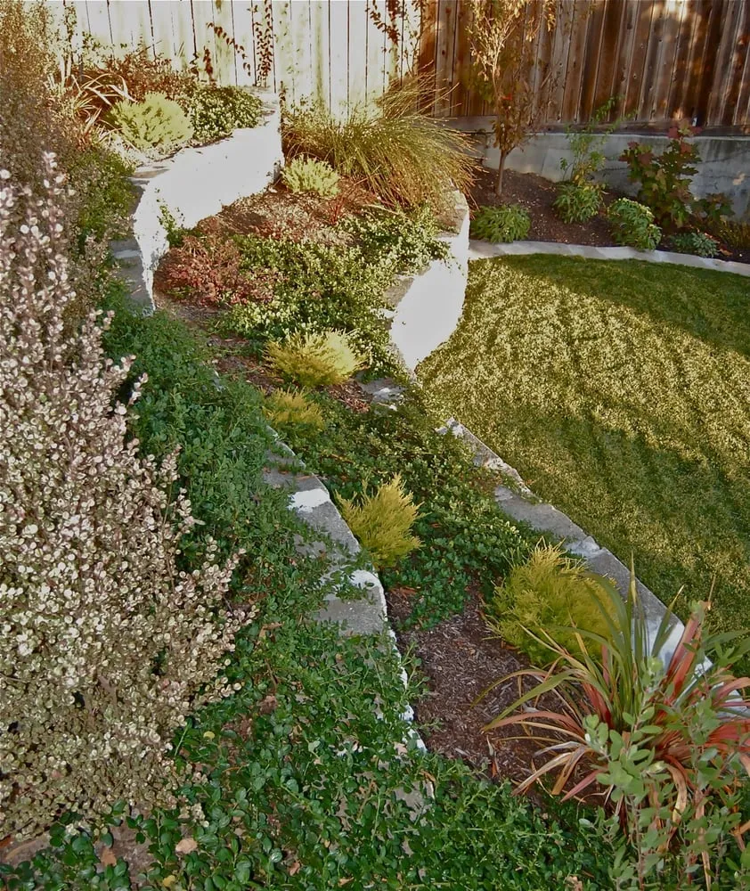 Top-rated landscape installation in Berkeley, CA - Sarah Herman Landscape Design