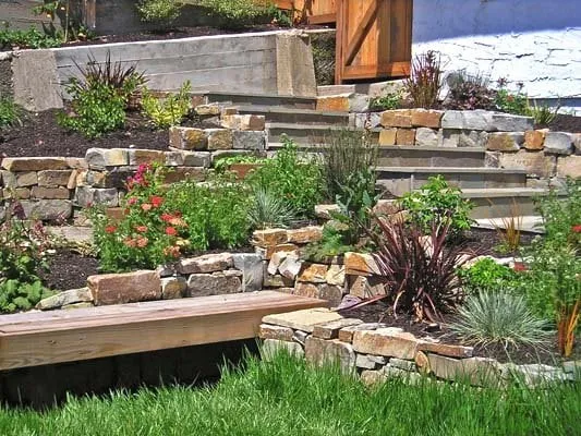 Trusted lawn care service in Berkeley, CA by Sarah Herman Landscape Design