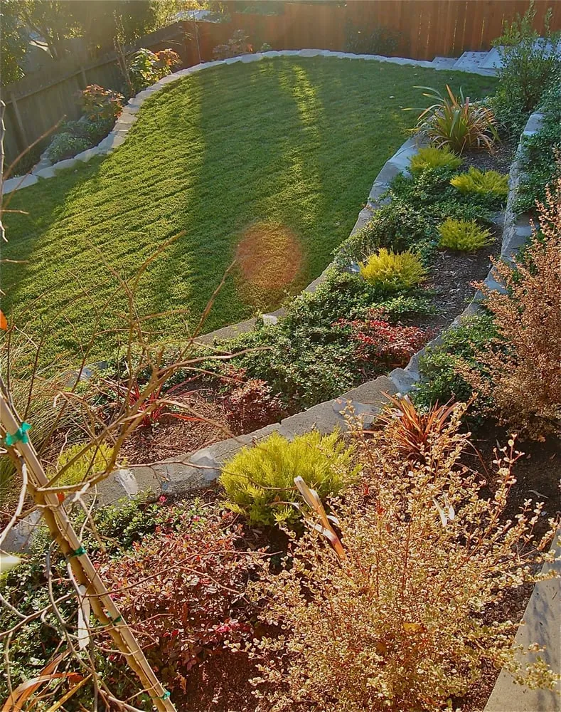 Reliable outdoor landscaping in Berkeley, CA by Sarah Herman Landscape Design
