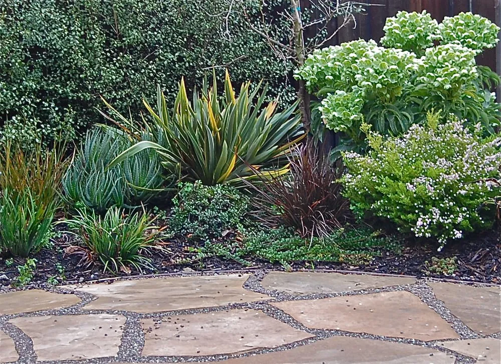 Local landscape installation for outdoor upgrades in Berkeley, CA by Sarah Herman Landscape Design
