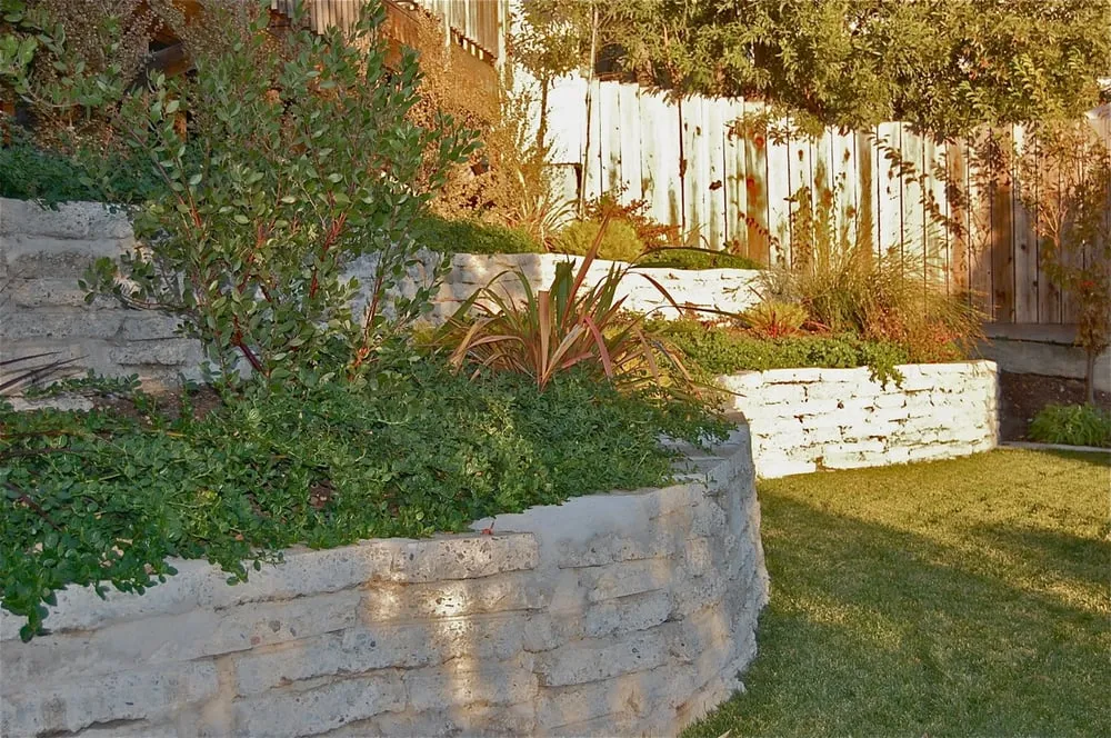 Expert outdoor landscaping for year-round maintenance across Berkeley, CA - Sarah Herman Landscape Design