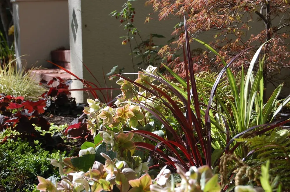 Custom yard cleanup service for residential properties across Berkeley, CA - Sarah Herman Landscape Design