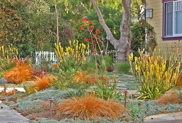 Reliable residential landscaping in Berkeley, CA by Sarah Herman Landscape Design