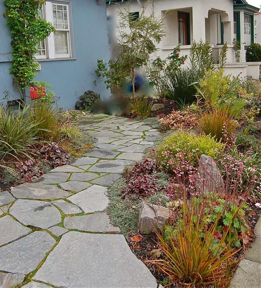 Reliable outdoor landscaping in Berkeley, CA by Sarah Herman Landscape Design