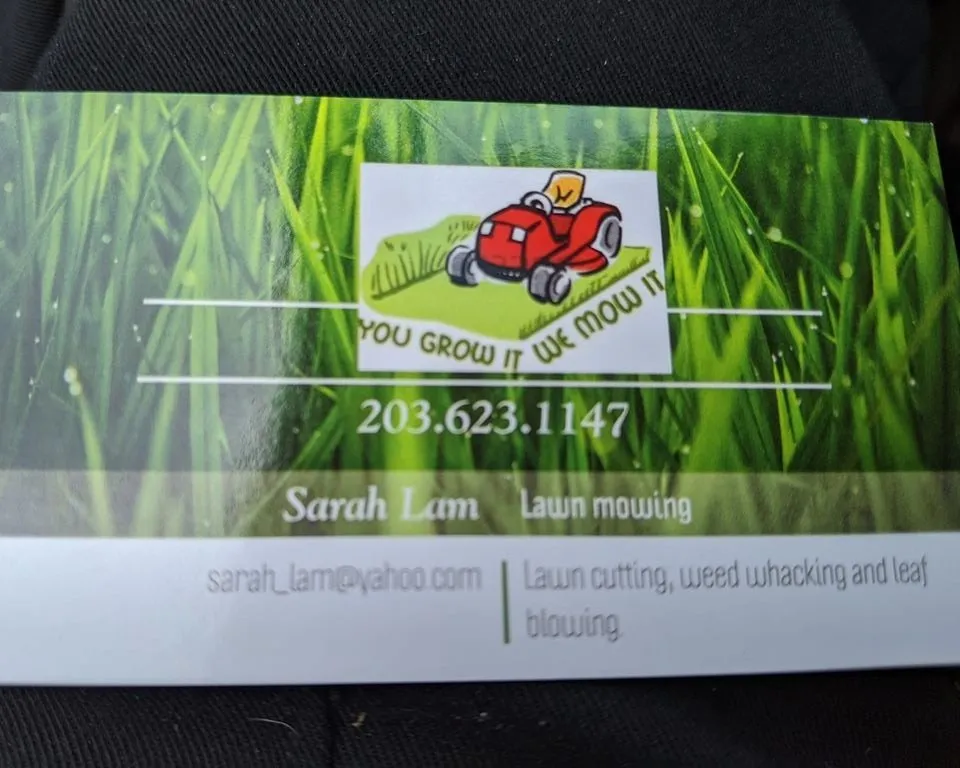 Custom yard maintenance in New Haven, CT by Sarah Lam