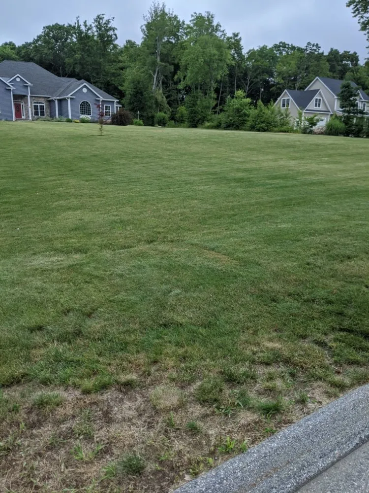 Trusted yard maintenance for outdoor upgrades across New Haven, CT - Sarah Lam