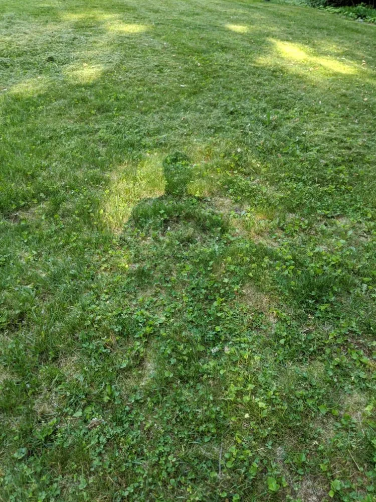 Reliable garden landscaping for homes across New Haven, CT - Sarah Lam