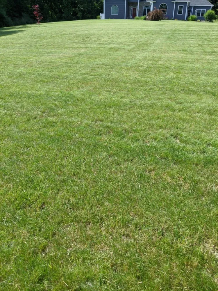 Affordable residential landscaping for homes across New Haven, CT - Sarah Lam