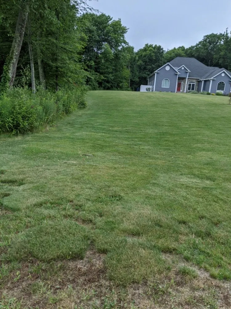 Custom lawn mowing service in New Haven, CT - Sarah Lam