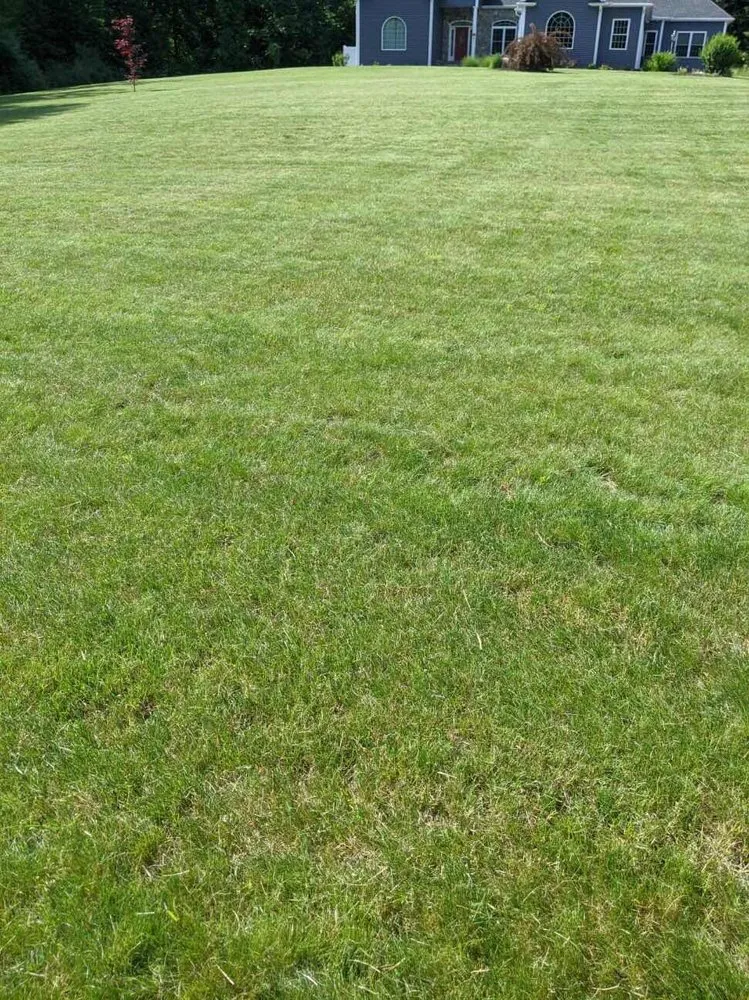 Affordable residential landscaping near you in New Haven, CT by Sarah Lam