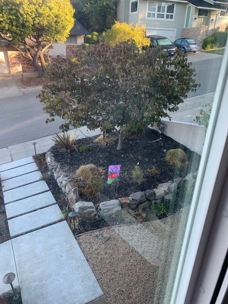 Affordable lawn care service for residential properties across Richmond, CA - Sarah Ray Design