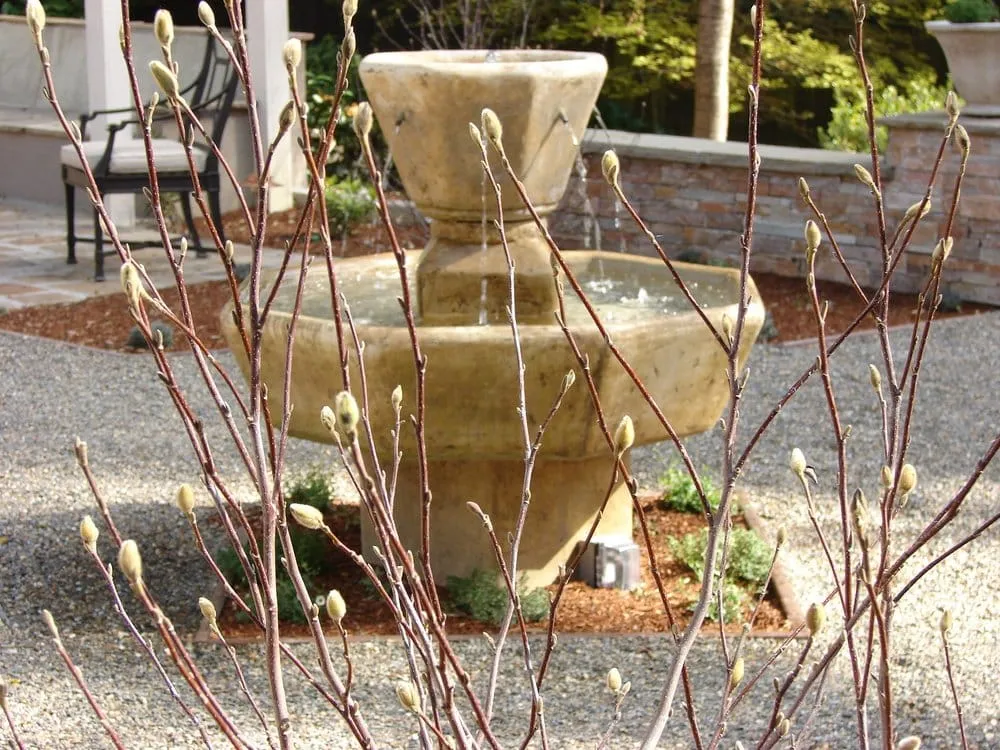 Top-rated landscape installation in Richmond, CA - Sarah Ray Design