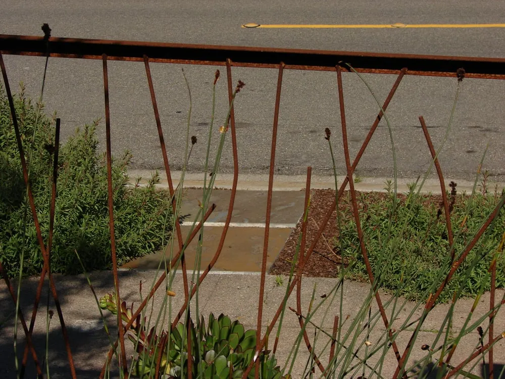 Trusted landscape installation with custom design in Richmond, CA by Sarah Ray Design