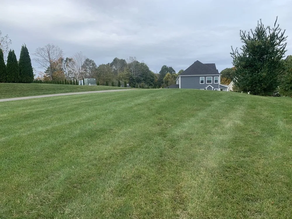 Top-rated lawn care service with custom design across New Haven, CT - Sarango Landscaping & Construction