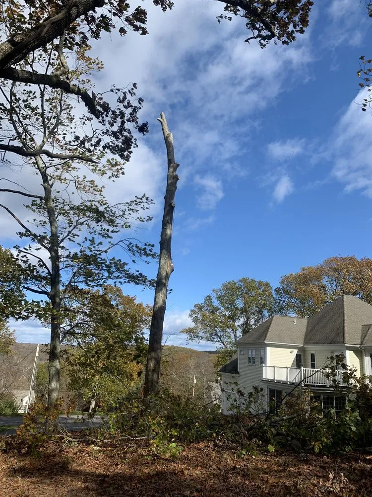 Professional yard maintenance for year-round maintenance across New Haven, CT - Sarango Landscaping & Construction