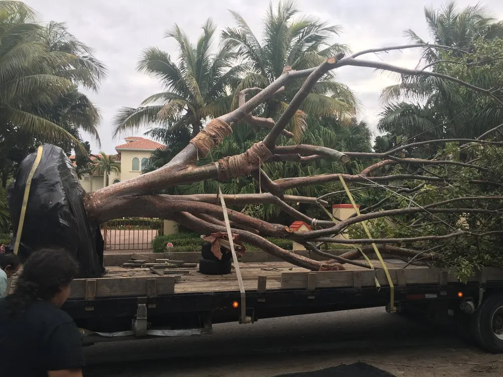 Trusted outdoor landscaping for beautiful yards in Sarasota, FL by Sarasota Arborist