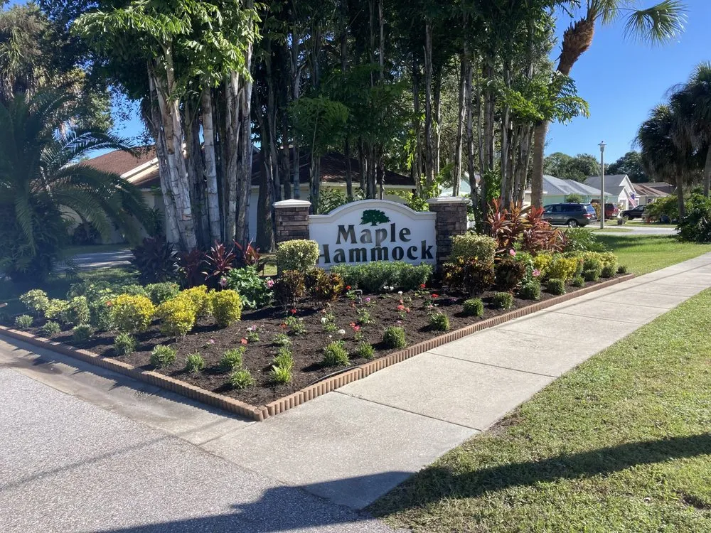 Affordable yard cleanup service in Sarasota, FL by Sarasota Landscape Solutions