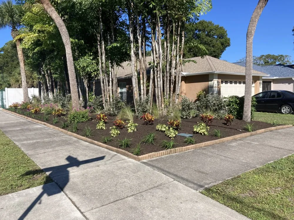 Local yard cleanup service experts serving Sarasota, FL - Sarasota Landscape Solutions