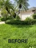 Reliable landscaping services with custom design across Sarasota, FL - Sarasota Landscape Solutions