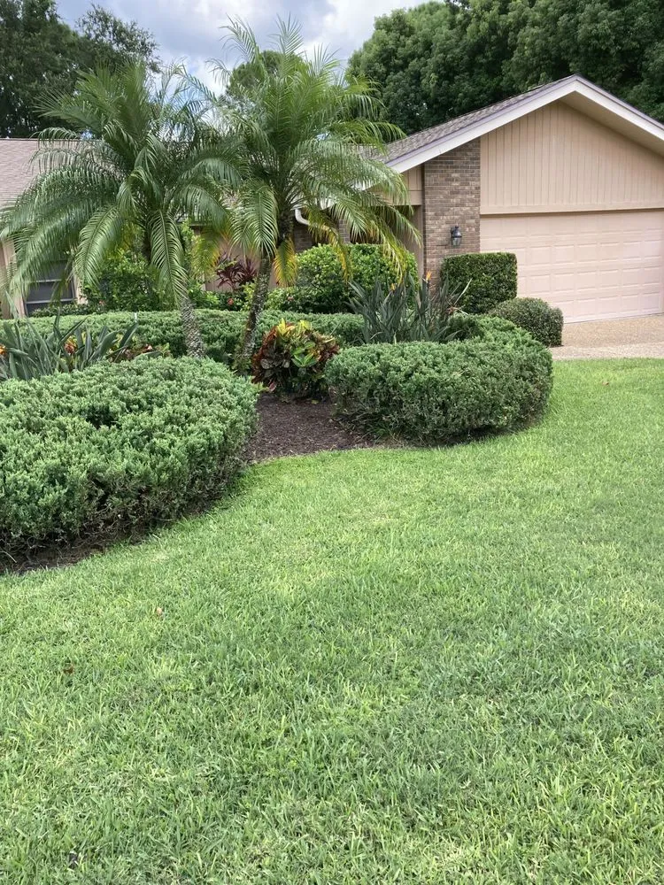 Reliable landscape design near you across Sarasota, FL - Sarasota Landscape Solutions