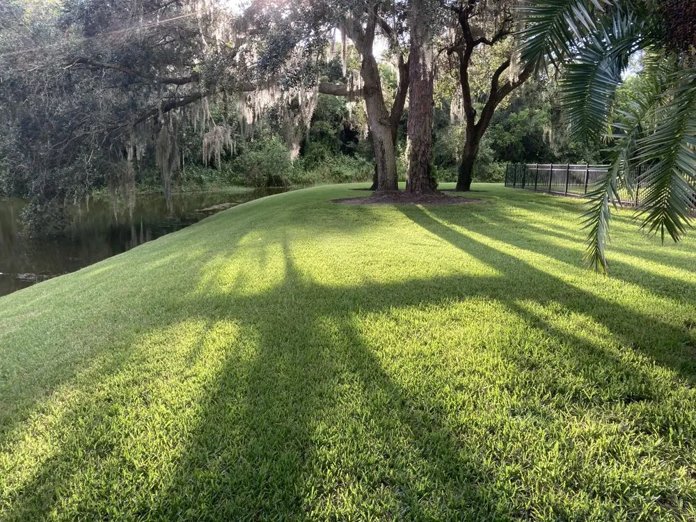 Affordable landscaping services in Sarasota, FL - Sarasota Landscape Solutions