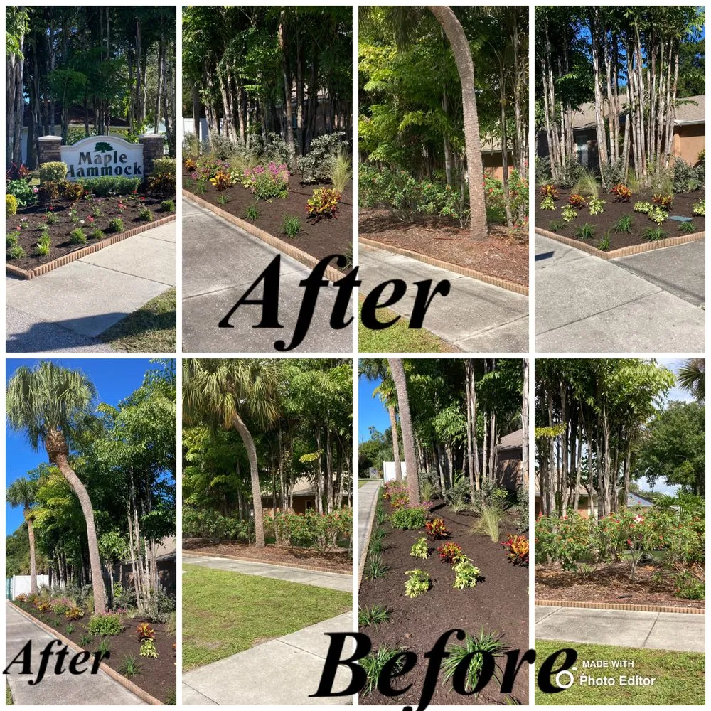 Reliable outdoor landscaping in Sarasota, FL by Sarasota Landscape Solutions