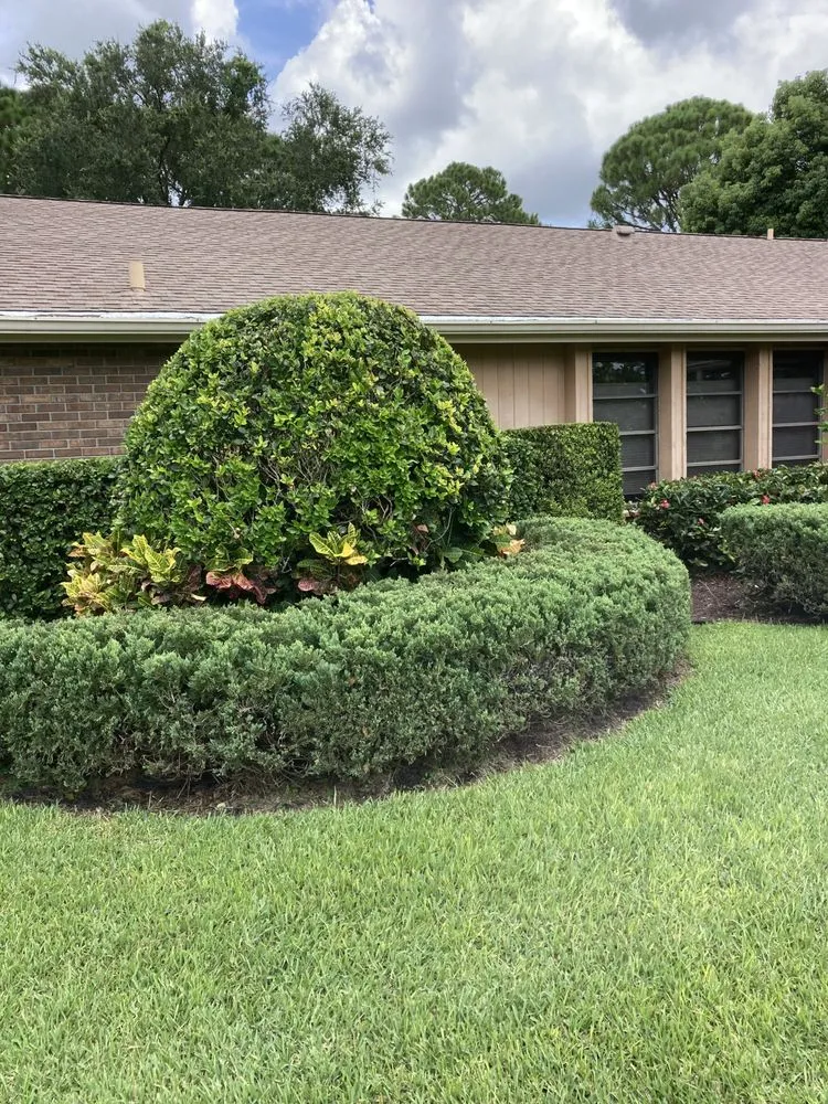 Affordable yard cleanup service in Sarasota, FL by Sarasota Landscape Solutions