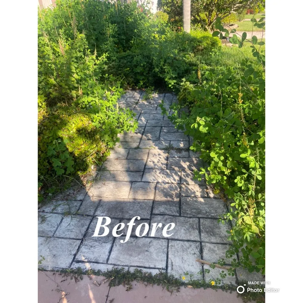 Professional yard cleanup service in Sarasota, FL by Sarasota Landscape Solutions