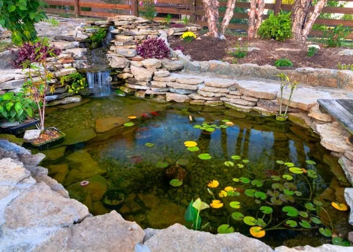 Top-rated landscape installation in Sarasota, FL - Sarasota Landscaping & Design