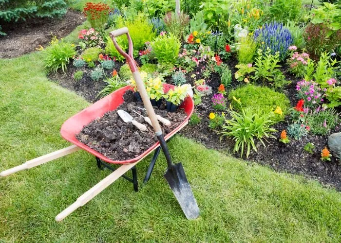 Custom garden landscaping in Sarasota, FL by Sarasota Landscaping & Design