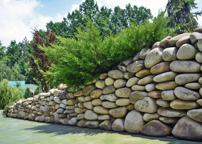 Affordable yard cleanup service with custom design across Sarasota, FL - Sarasota Landscaping & Design