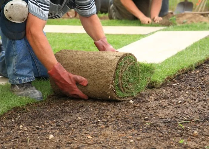Expert garden landscaping experts serving Sarasota, FL - Sarasota Landscaping & Design