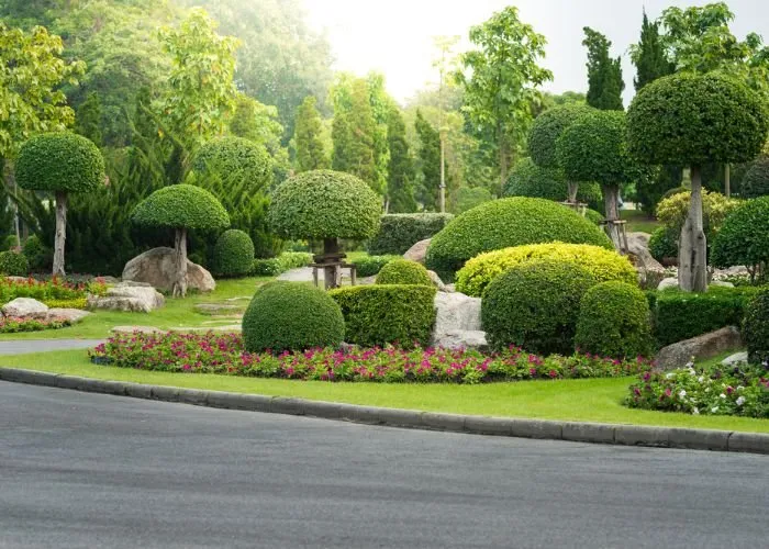 Top-rated residential landscaping experts serving Sarasota, FL - Sarasota Landscaping & Design