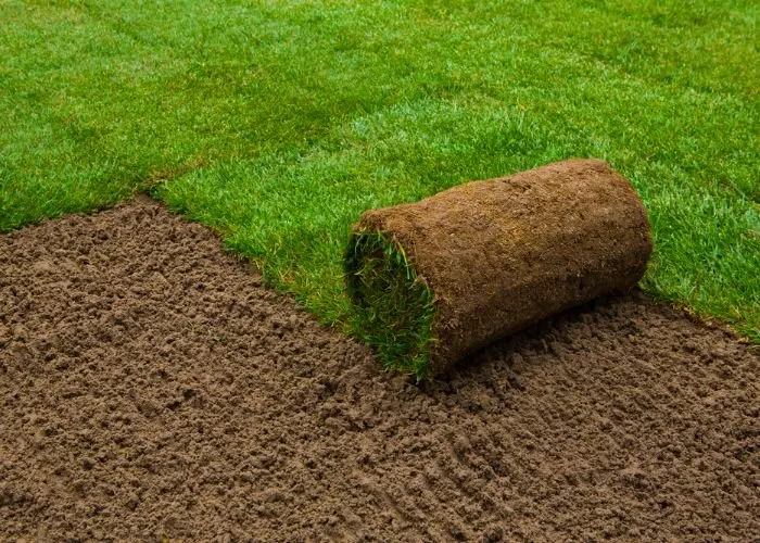 Top-rated yard cleanup service for outdoor upgrades in Sarasota, FL by Sarasota Landscaping & Design