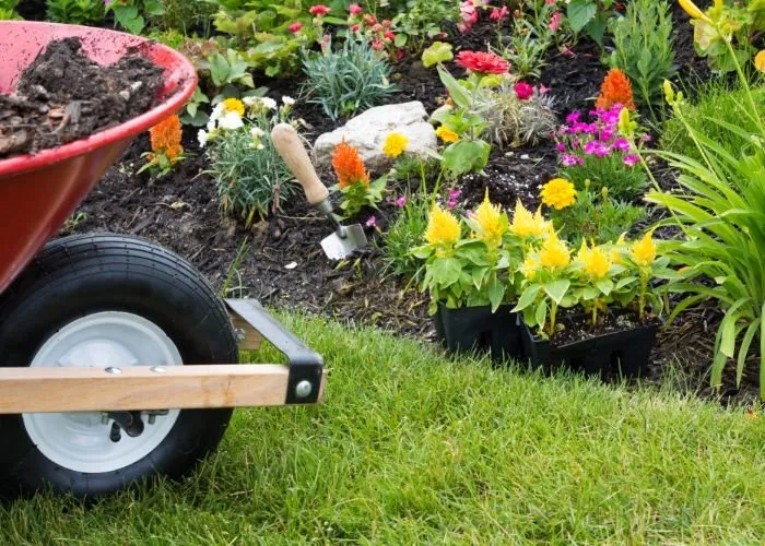 Affordable landscaping services with custom design in Sarasota, FL by Sarasota Landscaping & Design