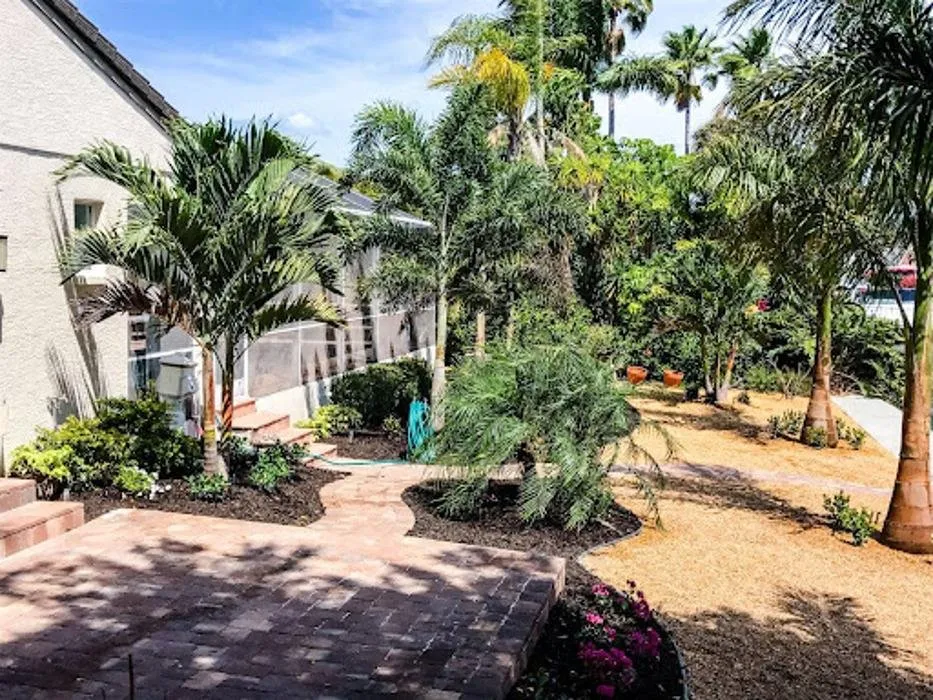 Trusted yard cleanup service in Sarasota, FL - Sarasota Landscaping