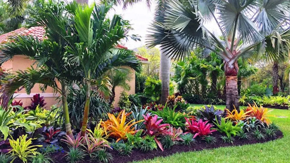 Professional landscaping services for homes across Sarasota, FL - Sarasota Landscaping