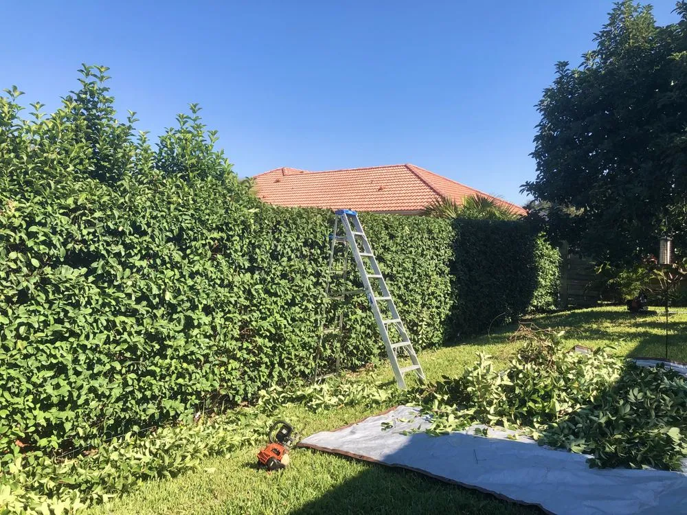 Trusted landscape design for homes across Sarasota, FL - Sarasota Lawn & Landscaping