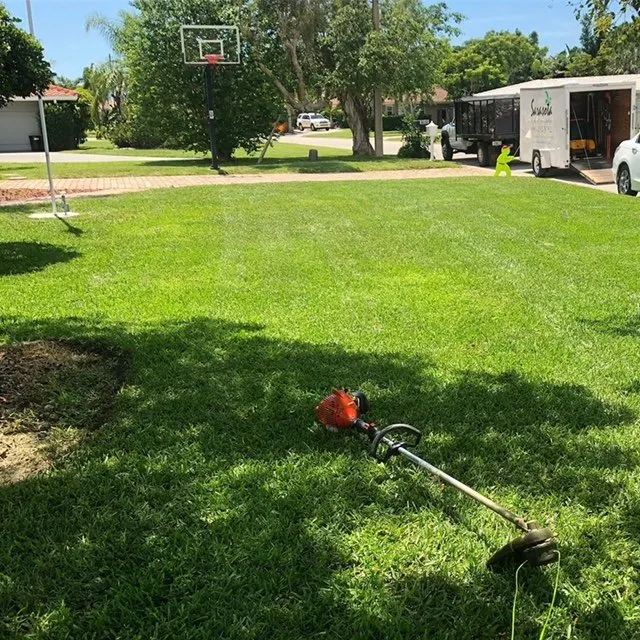 Expert lawn care service experts serving Sarasota, FL - Sarasota Lawn & Landscaping