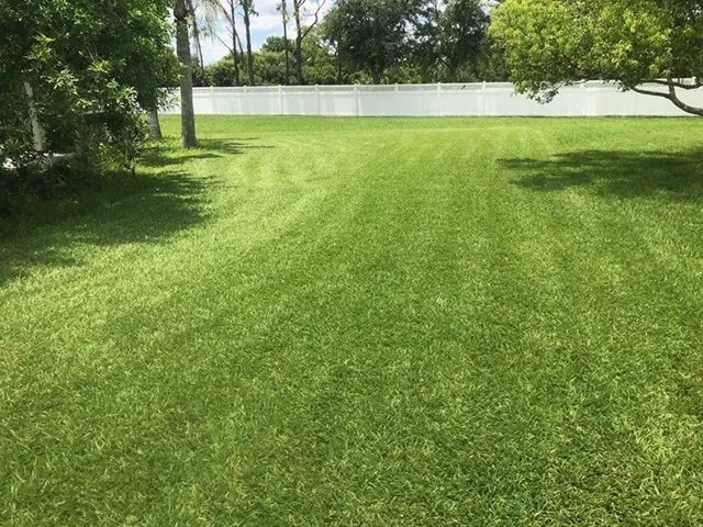 Local landscape installation for outdoor upgrades in Sarasota, FL by Sarasota Lawn & Landscaping