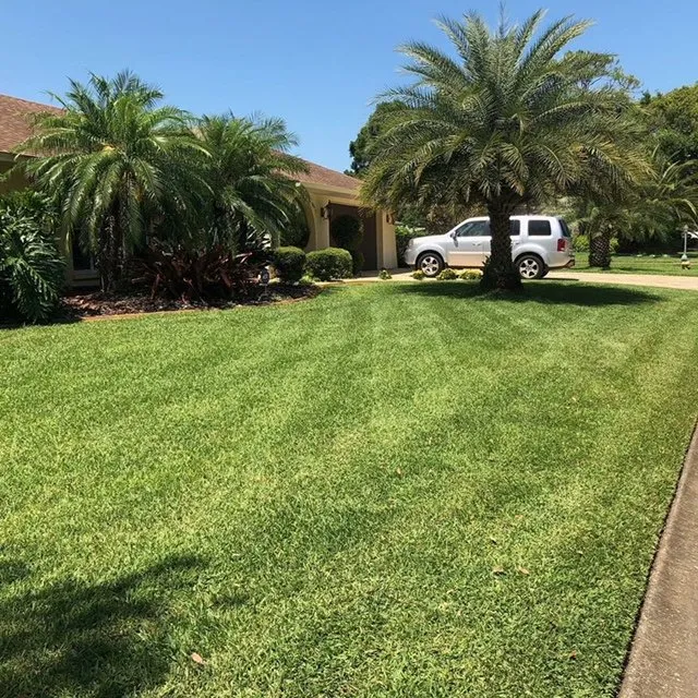 Reliable outdoor landscaping in Sarasota, FL - Sarasota Lawn & Landscaping