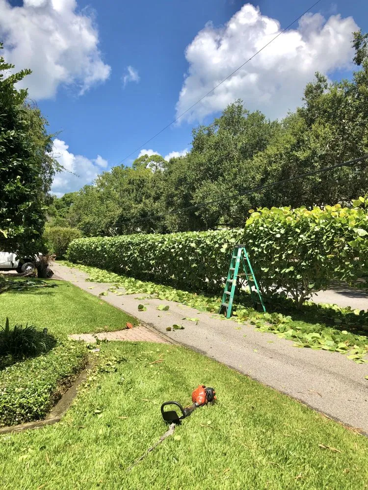 Top-rated landscape design with custom design in Sarasota, FL by Sarasota Lawn & Landscaping