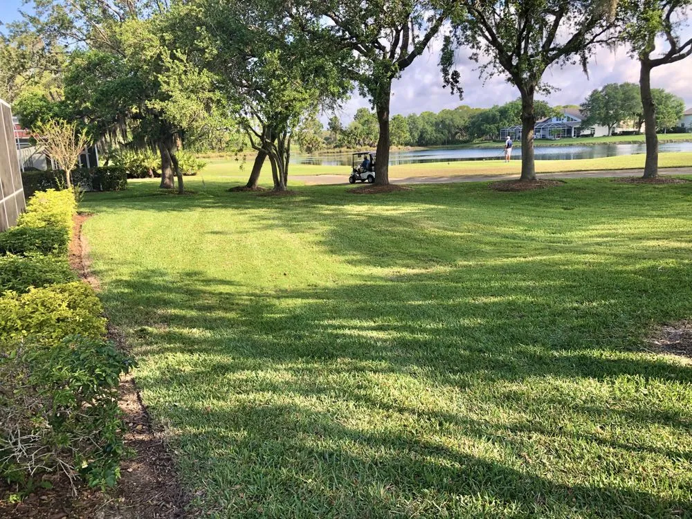 Custom yard maintenance in Sarasota, FL - Sarasota Lawn & Landscaping