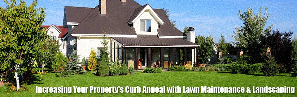 Local lawn care service in Sarasota, FL by Sarasota Lawn Care Service