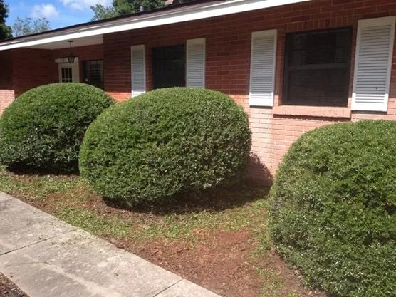 Trusted landscaping services in Sarasota, FL - Sarasota Lawn Care Service