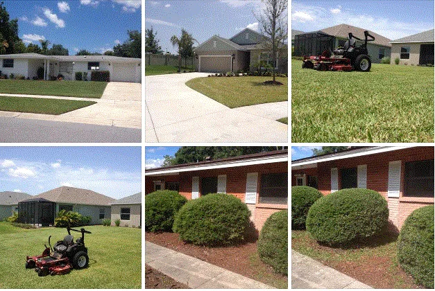 Local landscape design for homes across Sarasota, FL - Sarasota Lawn Care Service