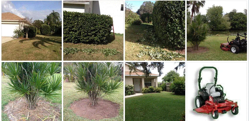Affordable yard maintenance experts serving Sarasota, FL - Sarasota Lawn Care Service