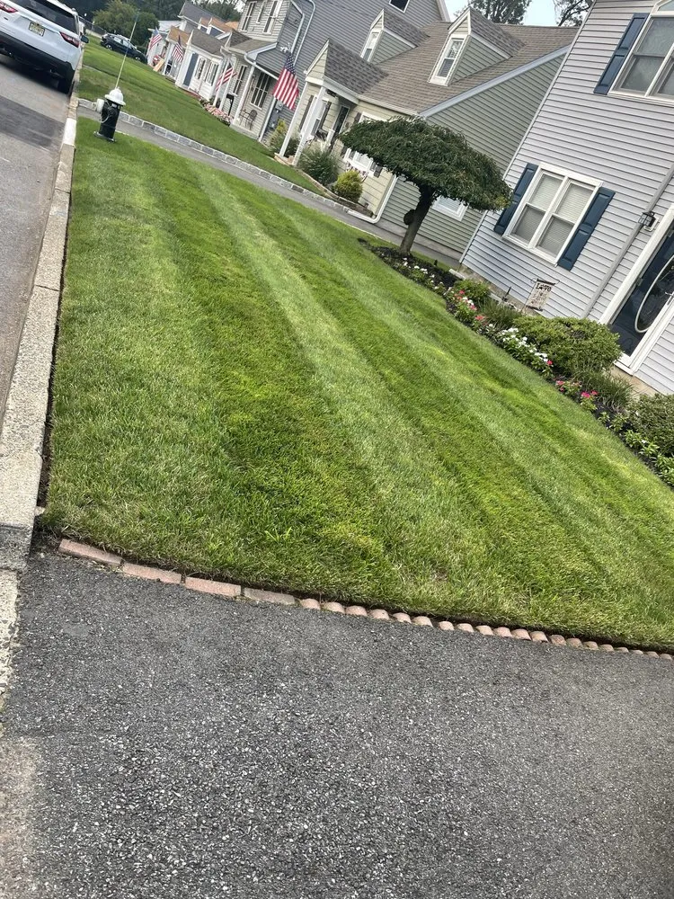 Local yard maintenance for year-round maintenance in Sarasota, FL by Sarasota Lawn Enforcement