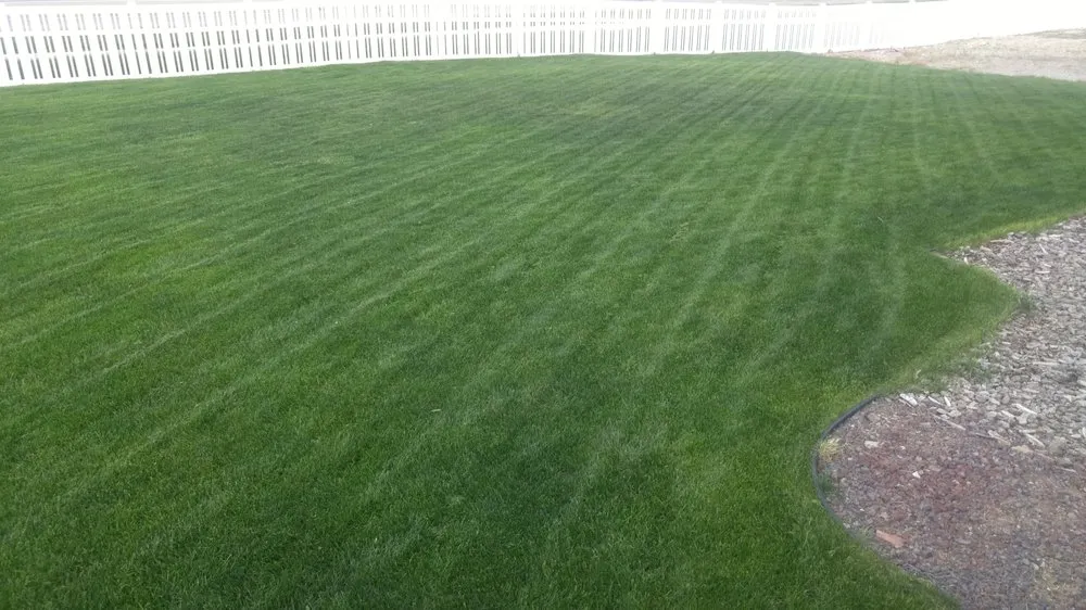 Reliable landscape design in Saratoga Springs, UT by Saratoga Mowing