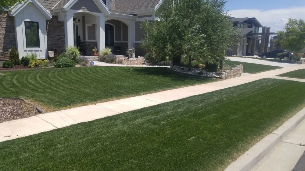 Reliable yard cleanup service in Saratoga Springs, UT by Saratoga Mowing
